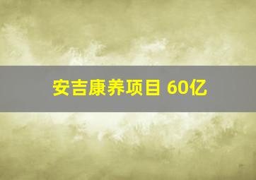 安吉康养项目 60亿